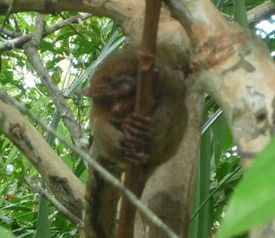 f:id:pepie17:20150502153922j:image