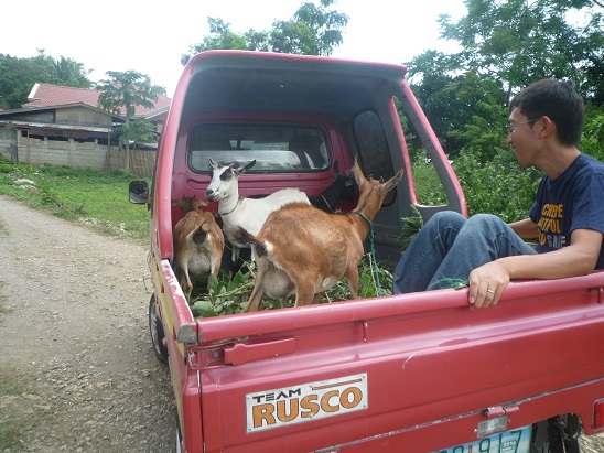 f:id:pepie17:20150826112324j:image