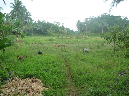 f:id:pepie17:20150826121428j:image