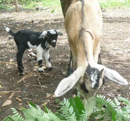 f:id:pepie17:20150914113831j:image