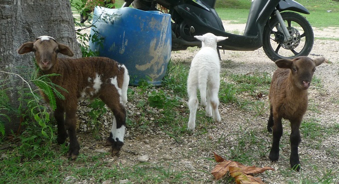 f:id:pepie17:20150922163006j:image