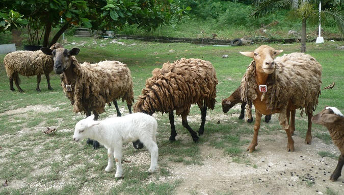 f:id:pepie17:20150922163055j:image