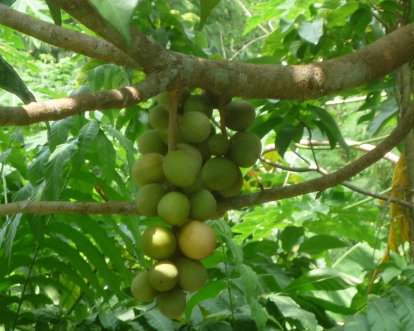 f:id:pepie17:20150927122859j:image