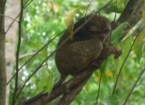 f:id:pepie17:20160307140135j:image