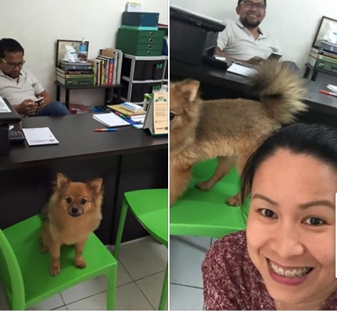 f:id:pepie17:20170726182304j:image f:id:pepie17:20170726182304j:image