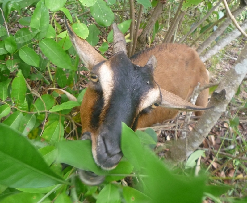 f:id:pepie17:20170823124017j:image