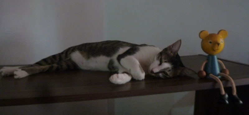 f:id:pepie17:20171022151852j:image