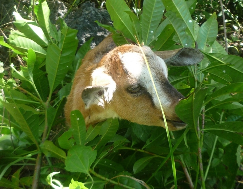 f:id:pepie17:20180208120526j:image