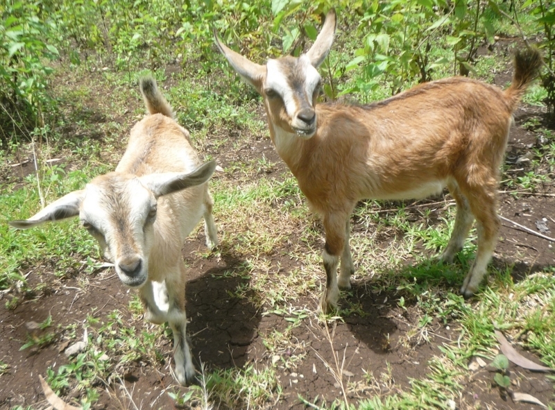 f:id:pepie17:20180307124808j:image