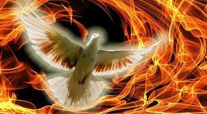 f:id:pepie17:20210523203532j:plain