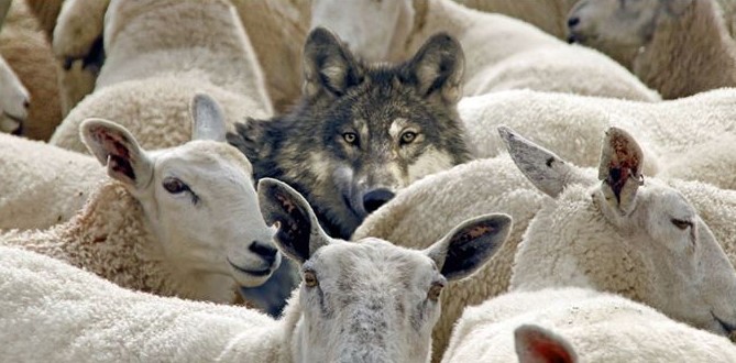 f:id:pepie17:20210706202958j:plain