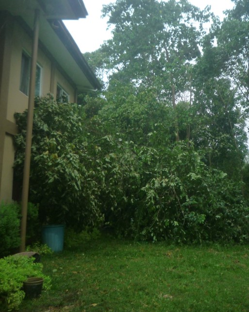 f:id:pepie17:20211013194608j:plain