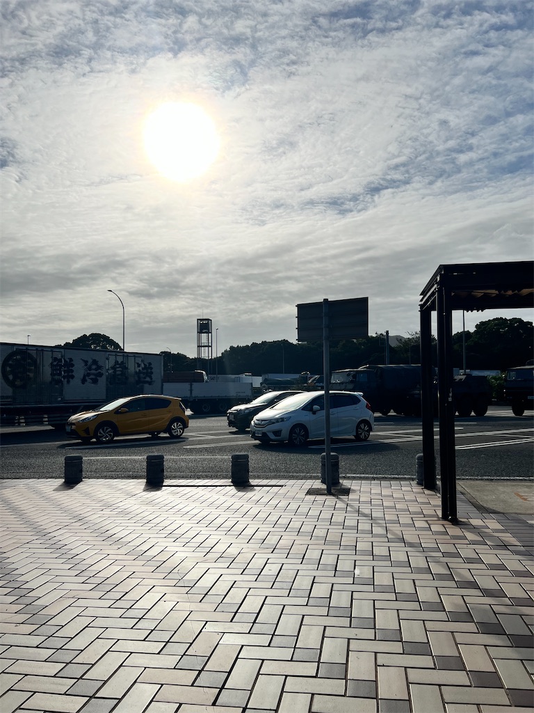 f:id:pepopepoland:20241020084125j:image