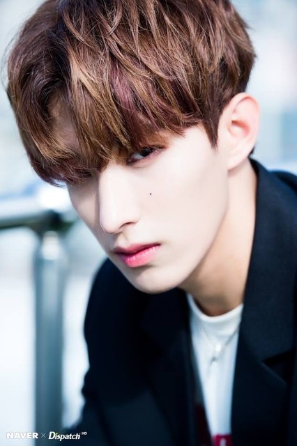 f:id:peppermintbark:20181209023741j:image f:id:peppermintbark:20181209023741j:image