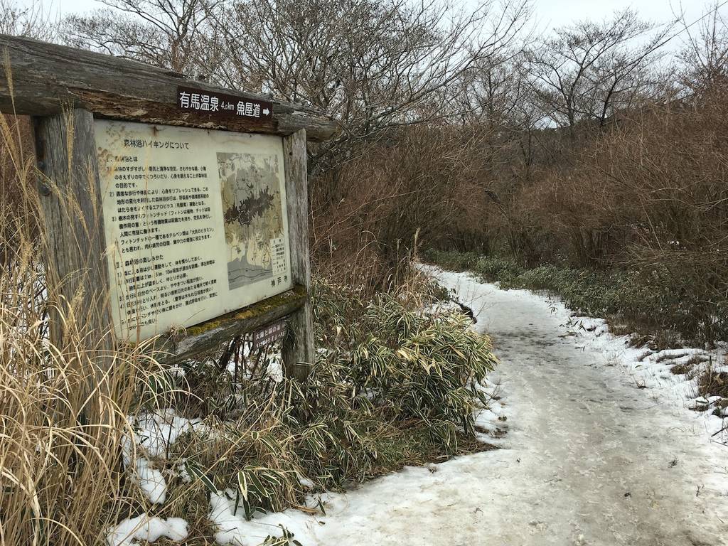 f:id:pepsi-nex-1:20190201061704j:plain f:id:pepsi-nex-1:20190201061704j:plain