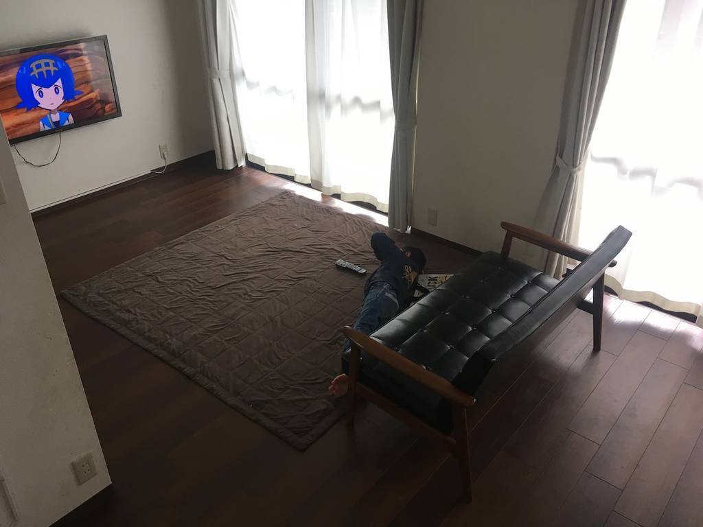 f:id:pepsi-nex-1:20190204061415j:plain f:id:pepsi-nex-1:20190204061415j:plain