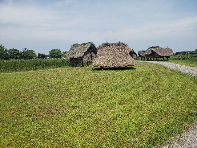 f:id:peptideblog:20190830171230j:image
