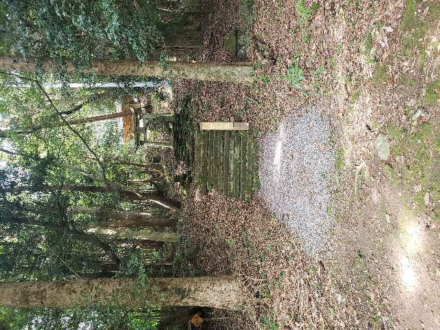 f:id:peptideblog:20190830171511j:image