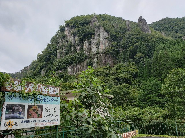 f:id:peptideblog:20190830173227j:image