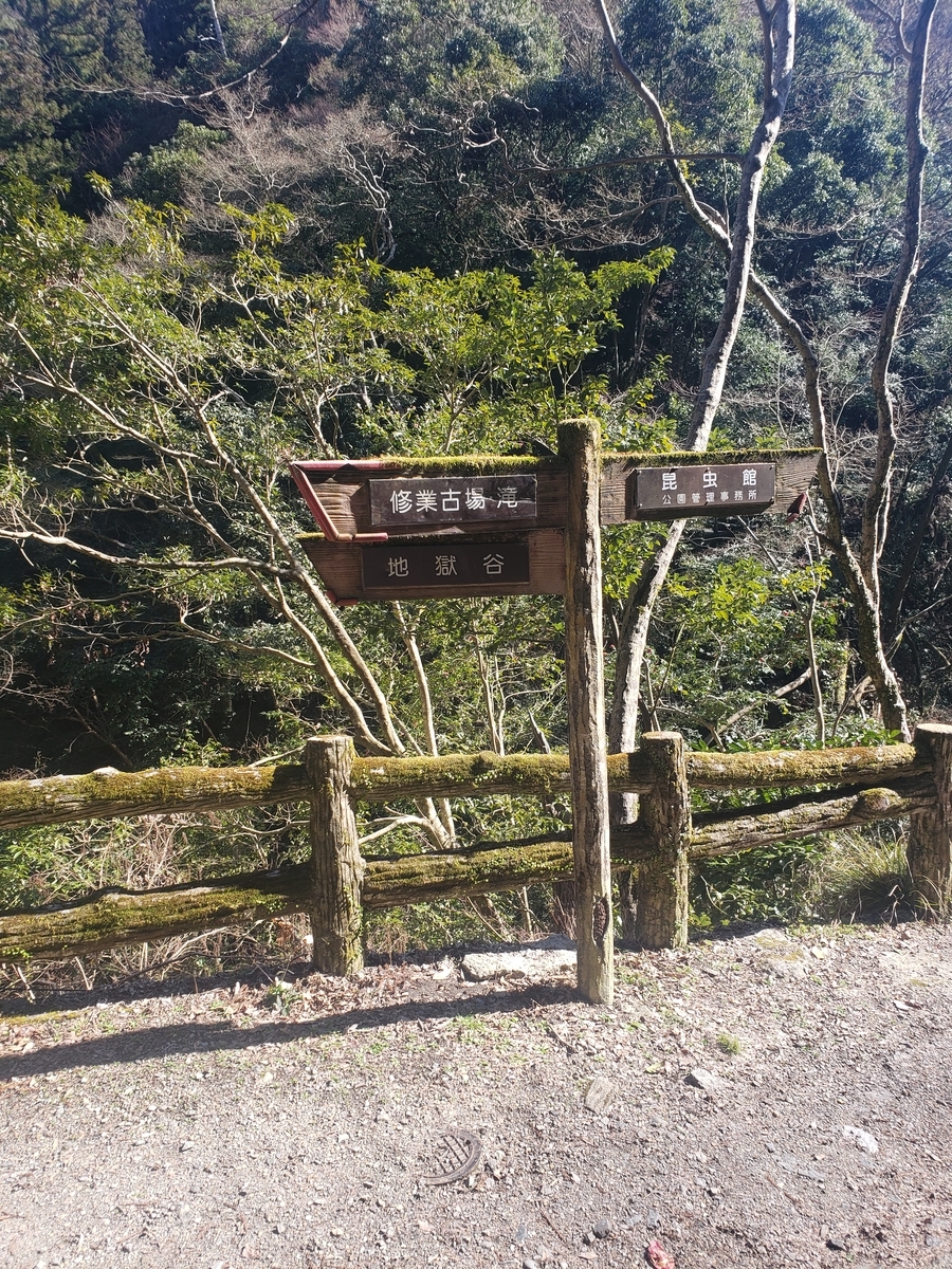 f:id:peptideblog:20200306141937j:plain