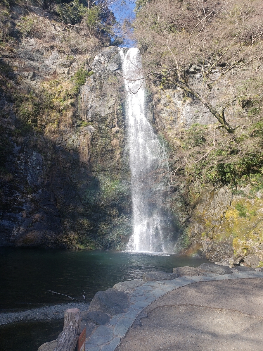 f:id:peptideblog:20200306143625j:plain
