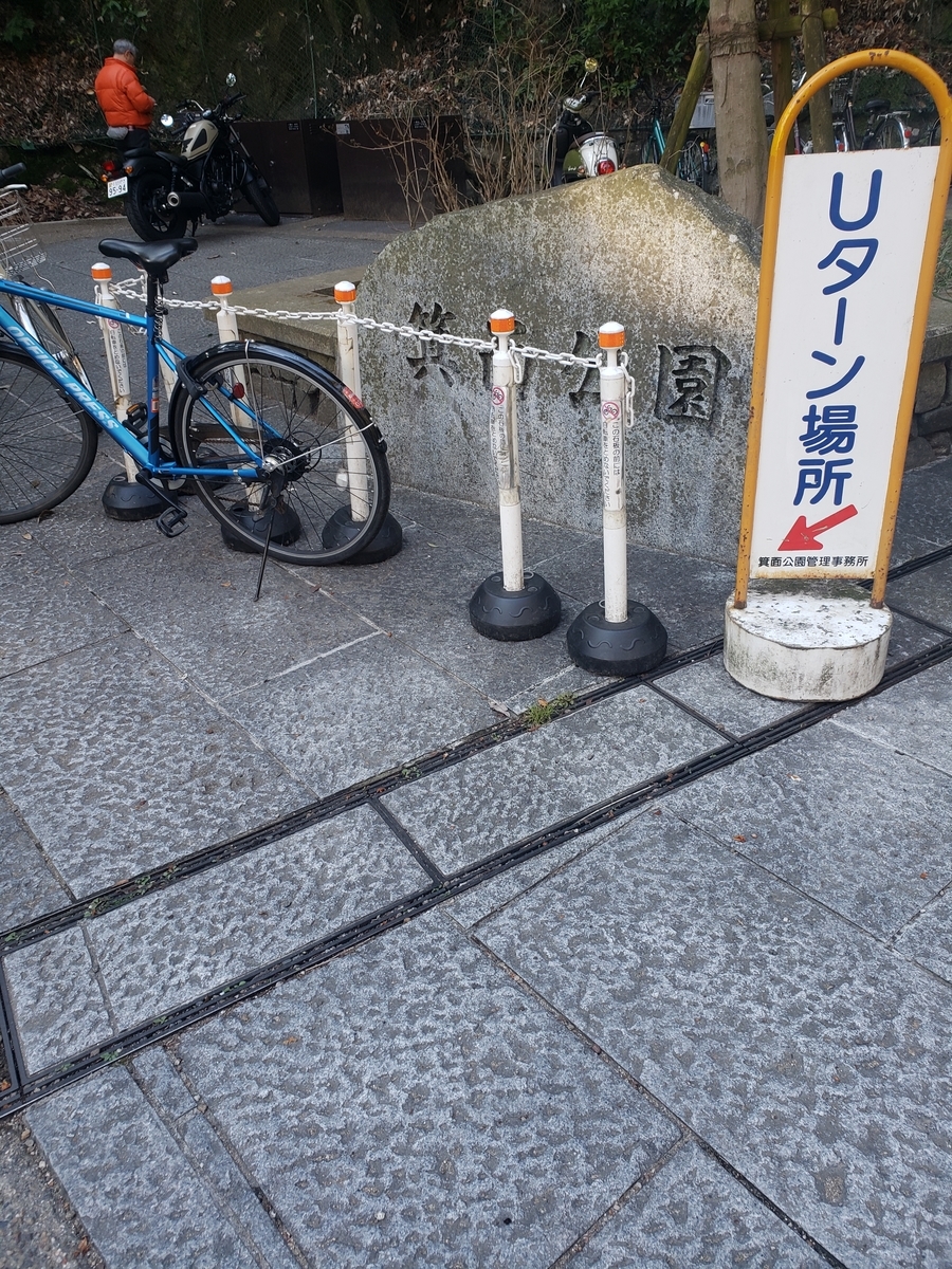 f:id:peptideblog:20200306154911j:plain