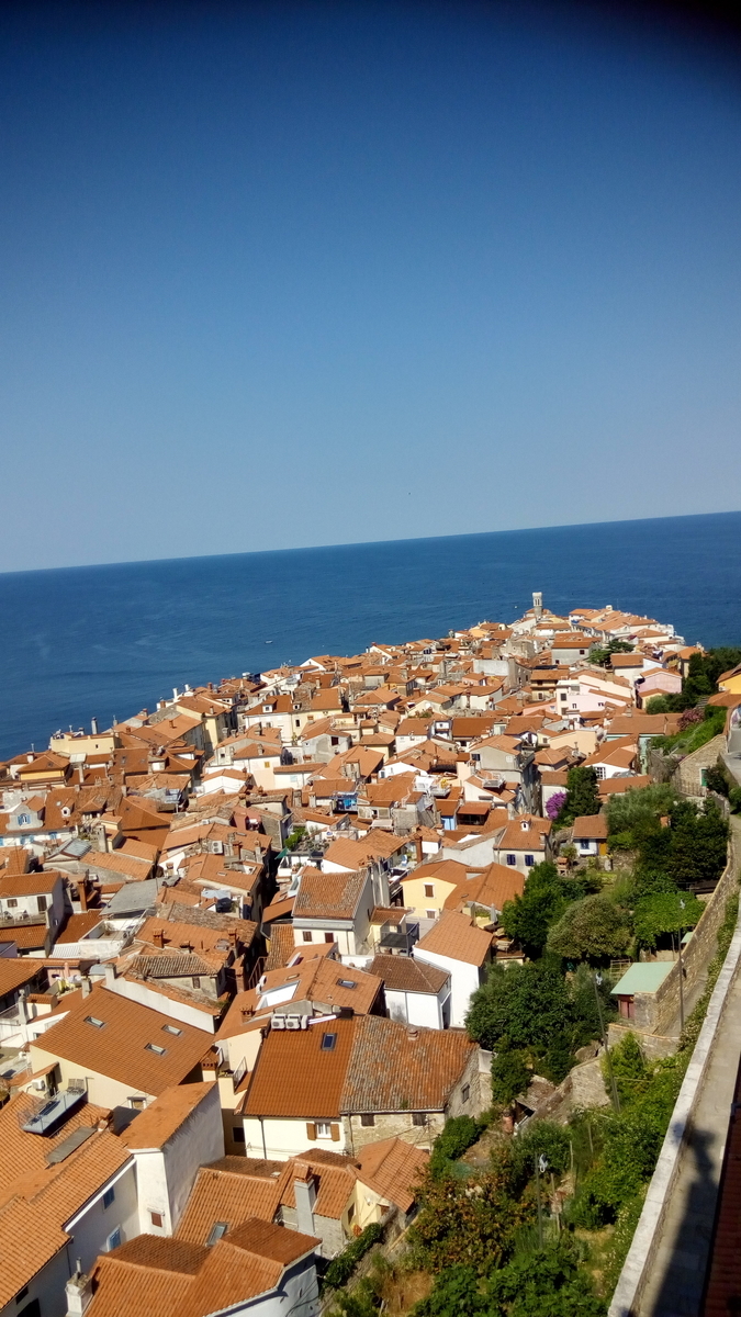 f:id:pepusora:20190628101604j:plain f:id:pepusora:20190628101604j:plain