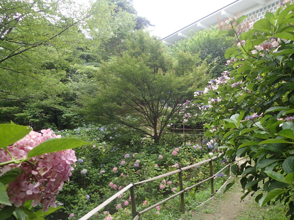 f:id:perack:20170709211632j:plain
