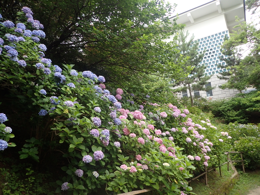 f:id:perack:20170709211643j:plain