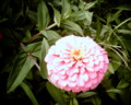 20090815180453