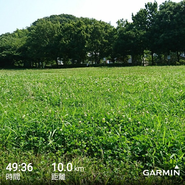 f:id:perefis:20170708122653j:image
