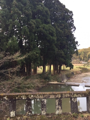 中古】 飛天窟 向山文子句集/沖積舎/向山文子 大逆ツアー 山口編
