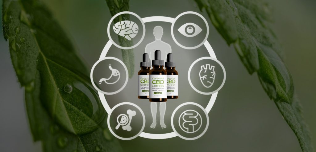 f:id:perfect4health:20190813193209j:plain f:id:perfect4health:20190813193209j:plain