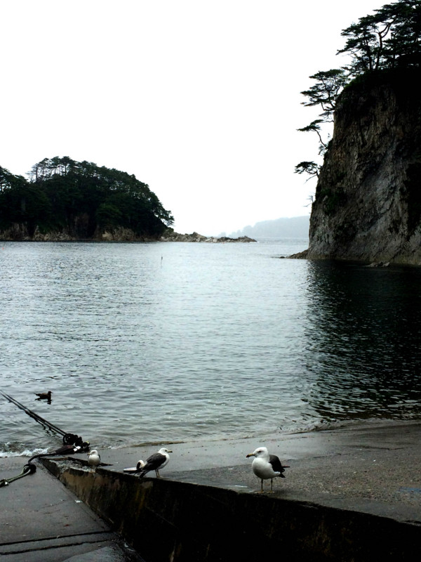 f:id:perfect_gray:20140810154554j:image:w360 f:id:perfect_gray:20140810154554j:image:w360