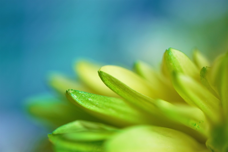 f:id:perfectlifeex:20190801194228j:plain f:id:perfectlifeex:20190801194228j:plain