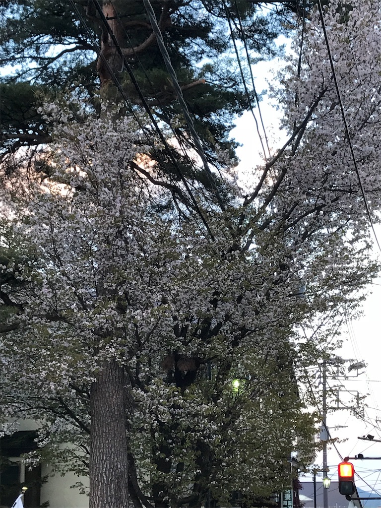 f:id:pergere:20180504210556j:image
