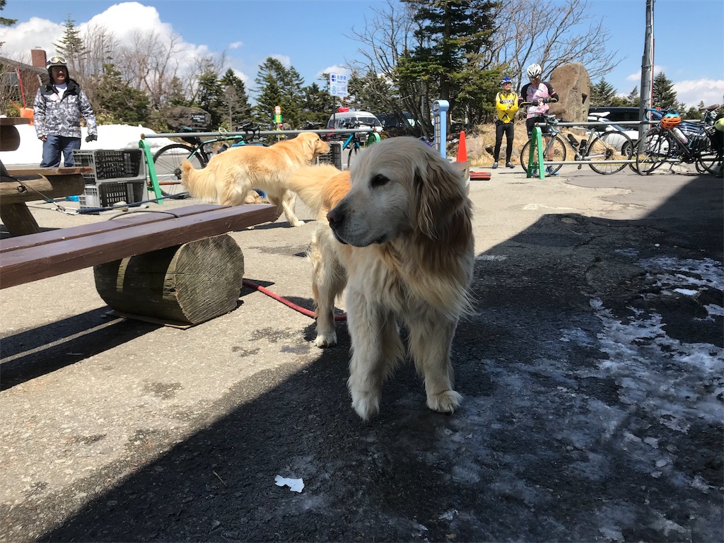 f:id:pergere:20180510201314j:image