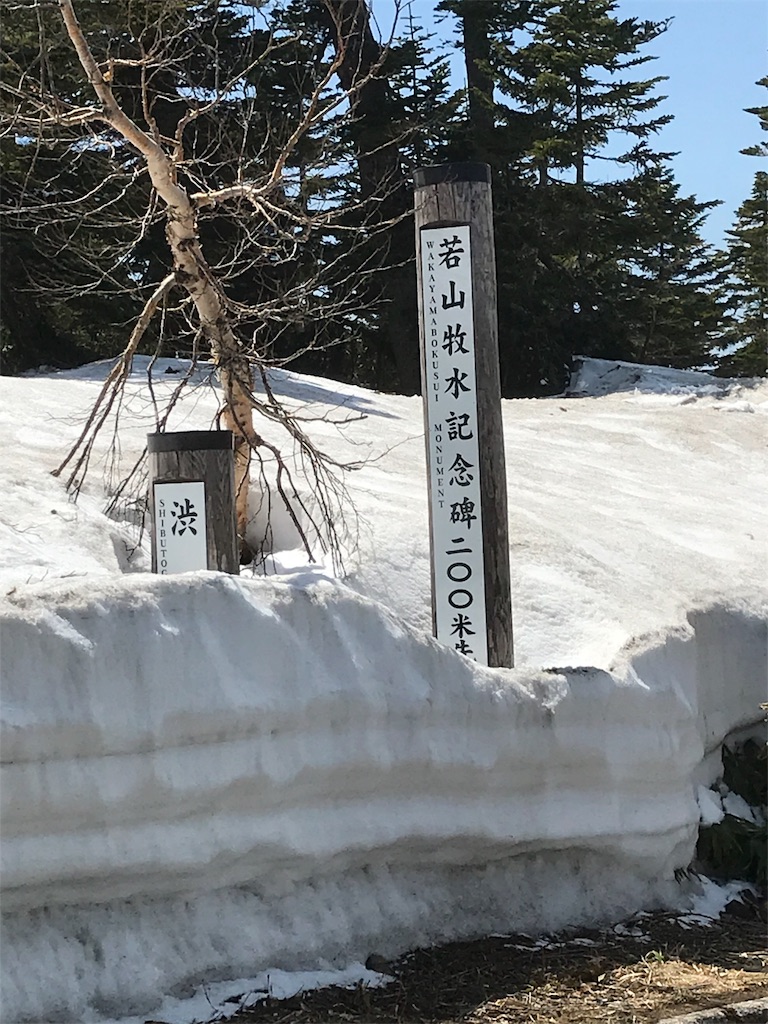 f:id:pergere:20180510201353j:image