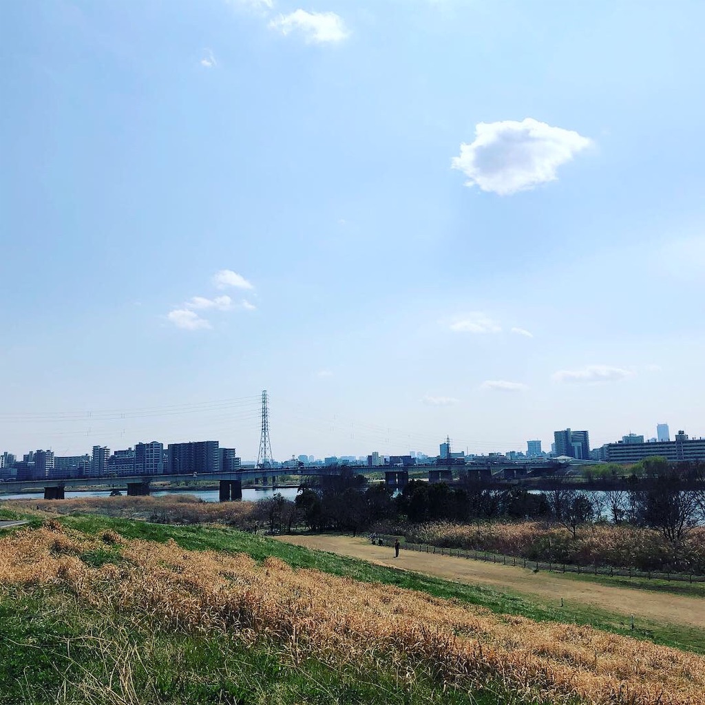 f:id:pergere:20190321142223j:image