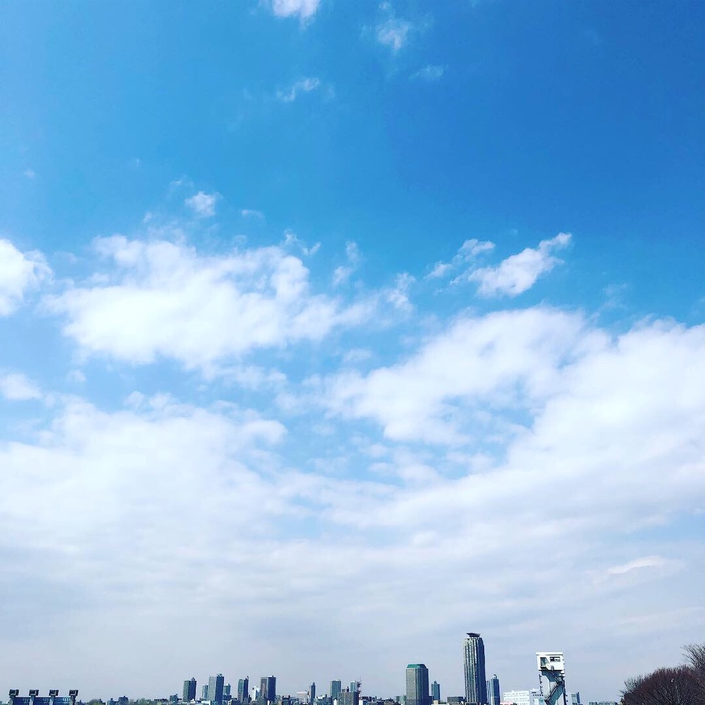 f:id:pergere:20190321142237j:image