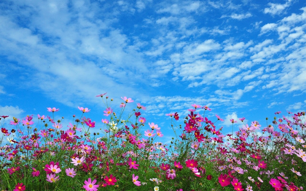 f:id:perius:20191119091149j:image