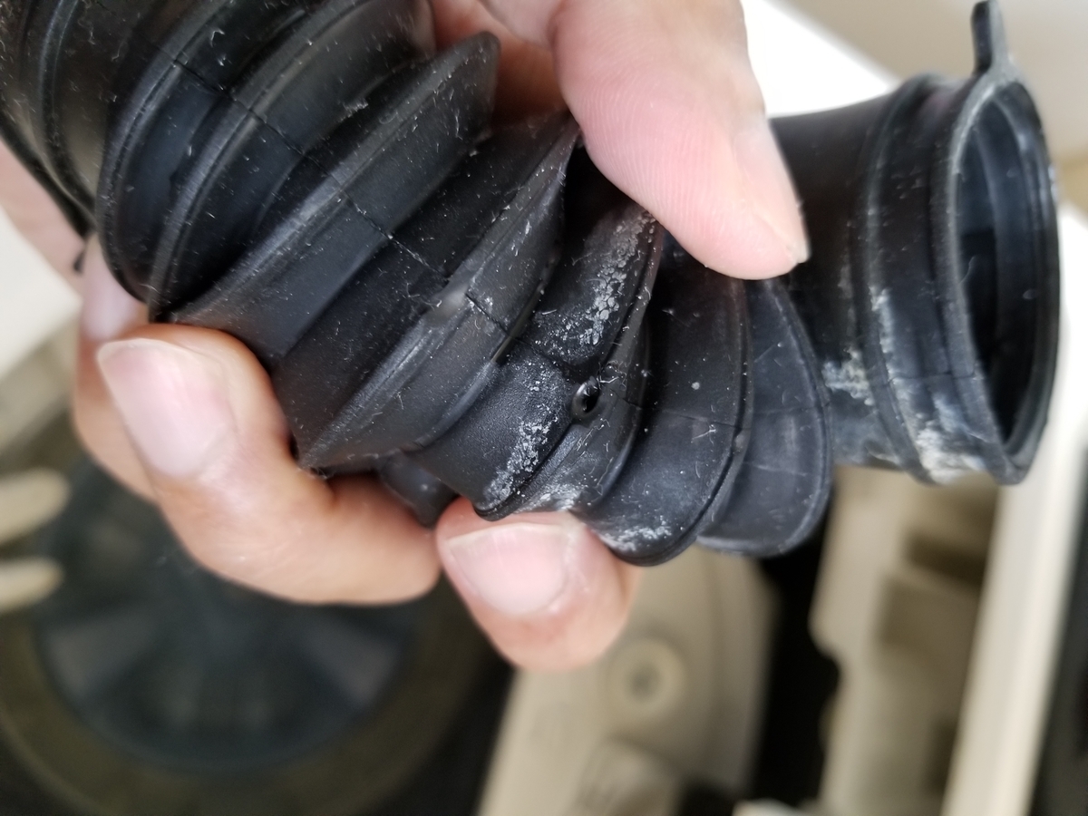 f:id:permabug:20190601173519j:plain f:id:permabug:20190601173519j:plain