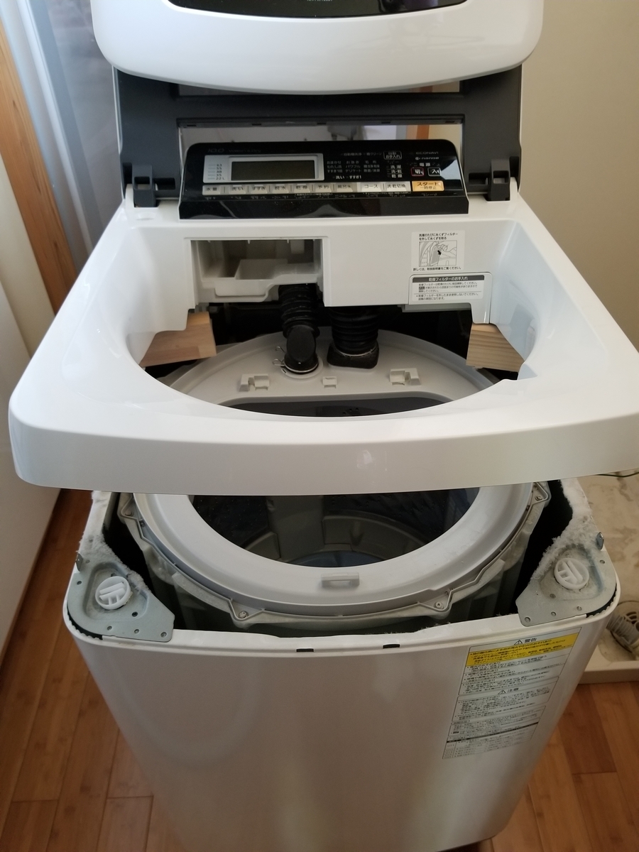 f:id:permabug:20190601173818j:plain f:id:permabug:20190601173818j:plain