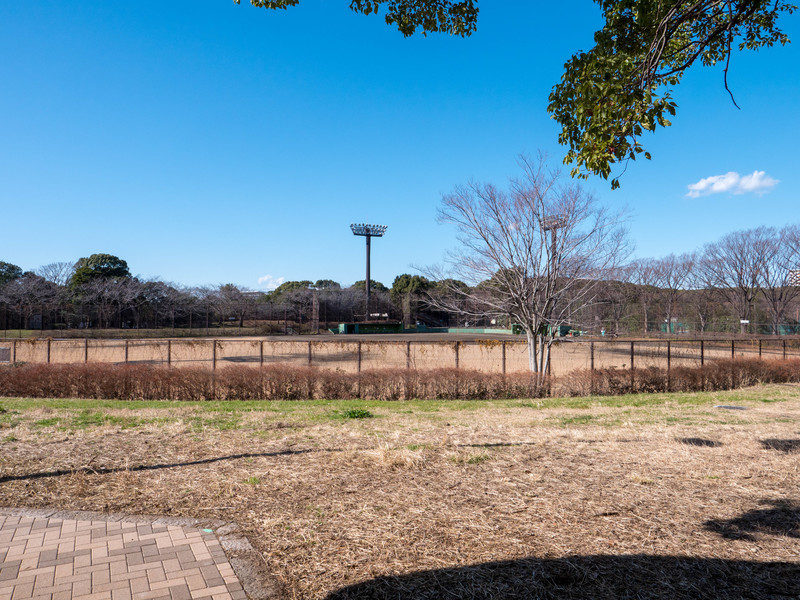 f:id:peroon:20200130124124j:plain