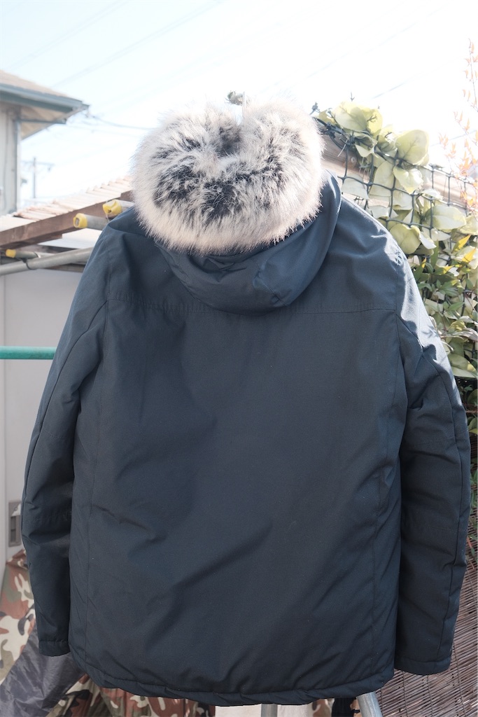 f:id:perorikun:20210117002518j:image