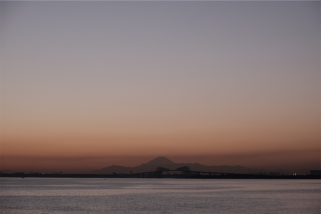 f:id:perorikun:20210124200700j:image