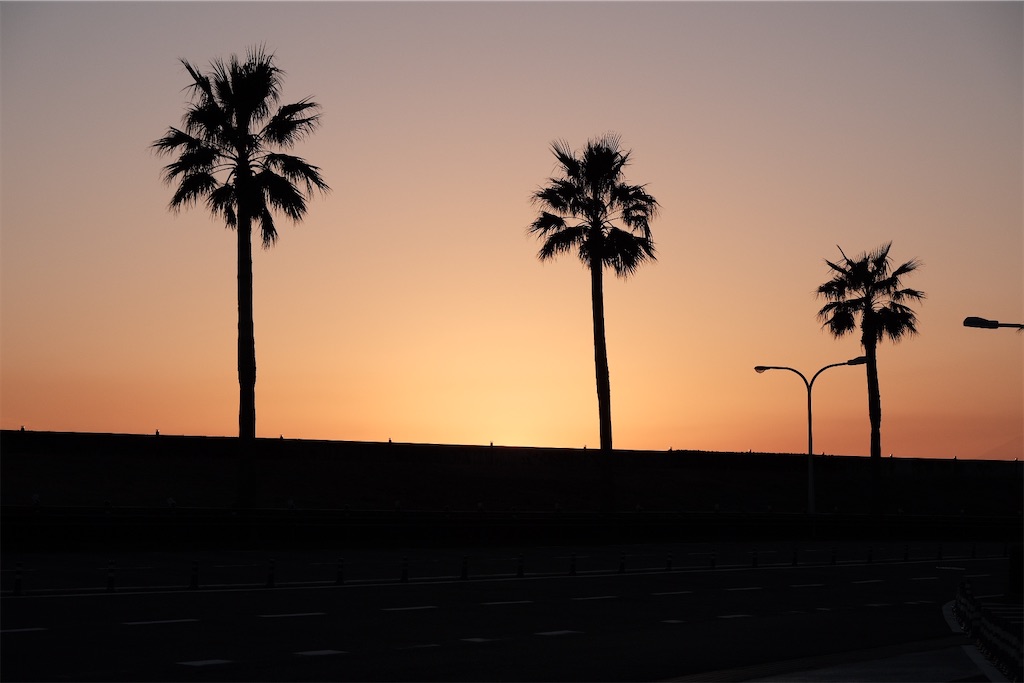 f:id:perorikun:20210124200711j:image
