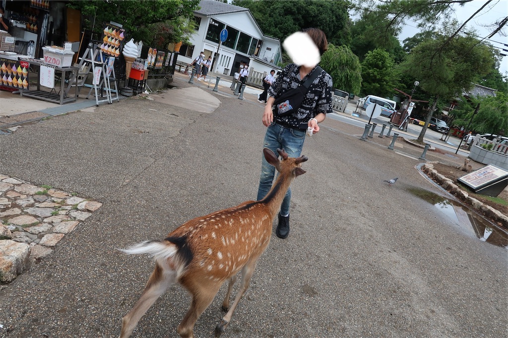 f:id:perorikun:20220818085655j:image
