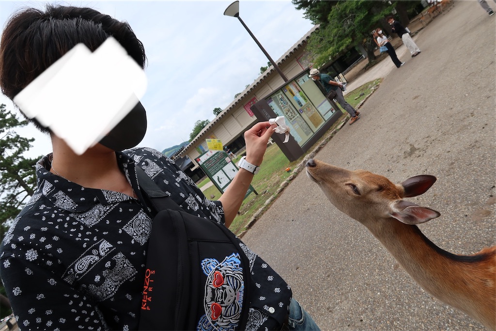 f:id:perorikun:20220818085736j:image