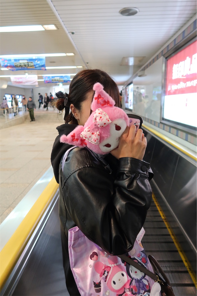 f:id:perorikun:20241230183602j:image